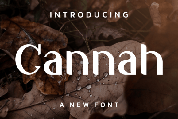 Cannah: The Modern Display Font for Elevating Your Brand Identity