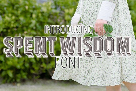 Spent Wisdom: A Retro Display Font for Editorial Design